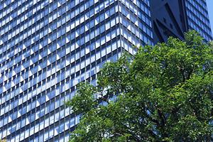 香川県で建てる高品質な注文住宅