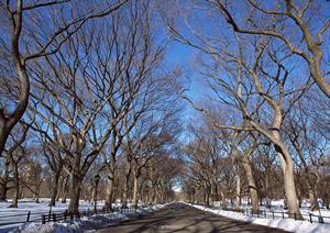 短工期で建築するにはシステム建築がベスト